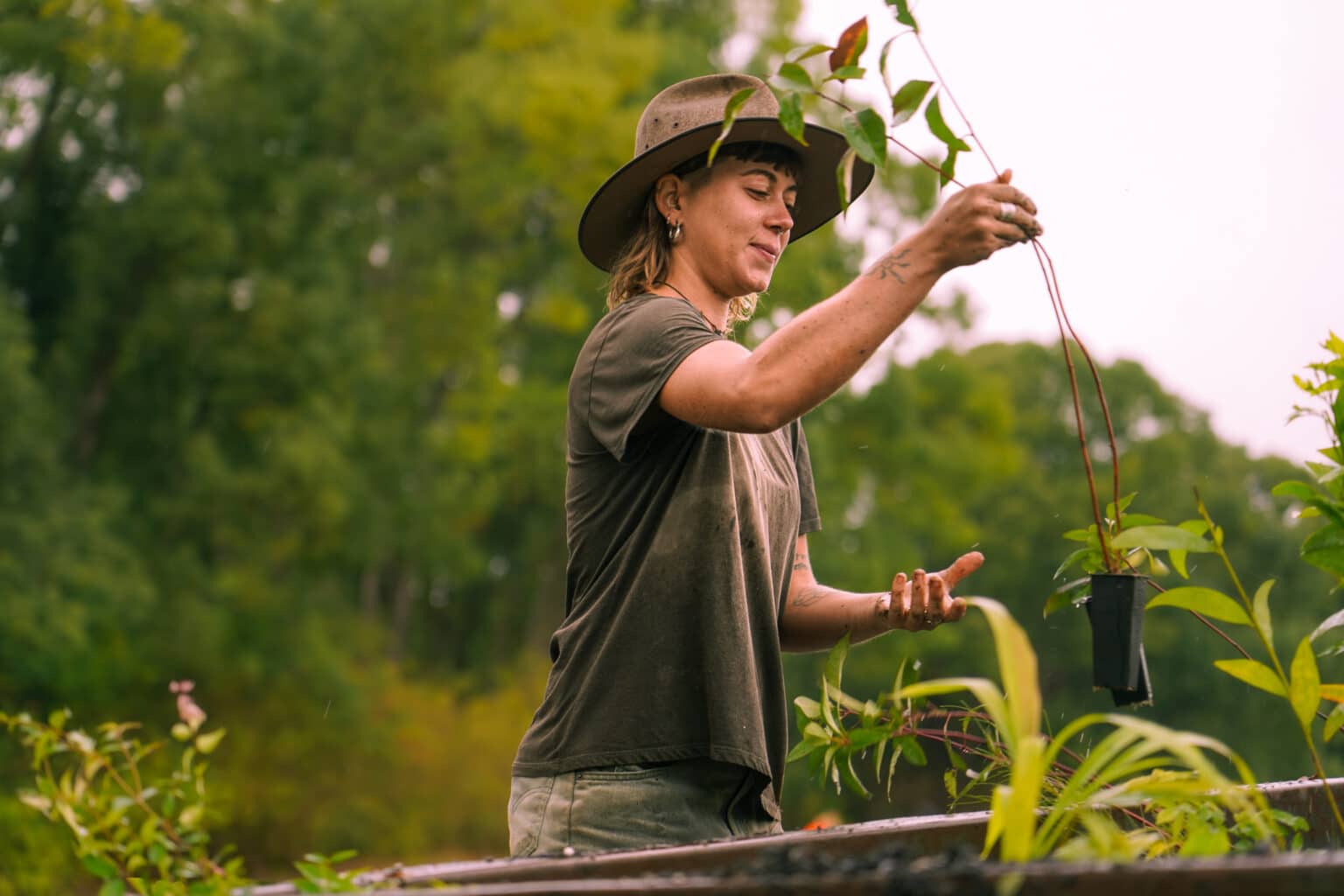 Our Carbon Journey - In2 Fire - Fire Equipment Services